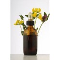 Lemon-Ester Naturel [agent antioxydant et déodorant] 50 ml
