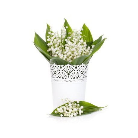 LILY OF THE VALLEY Fragrance standard 10 ml