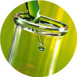 Geogard® 221 / conservateur liquide pour cosmétique 10 ml